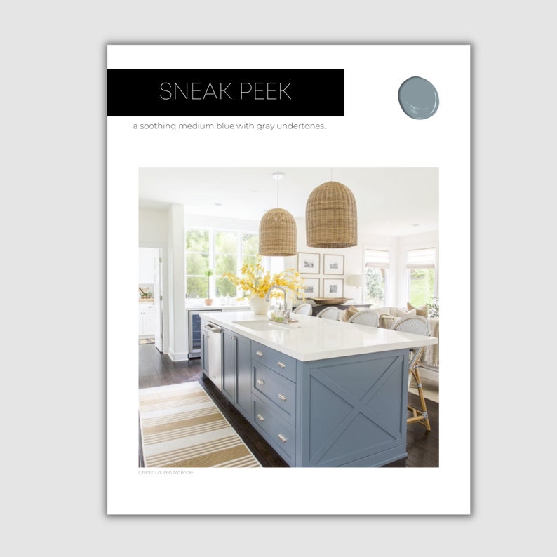 Wrought Iron Benjamin Moore Paint Palette Lake House Color - Etsy