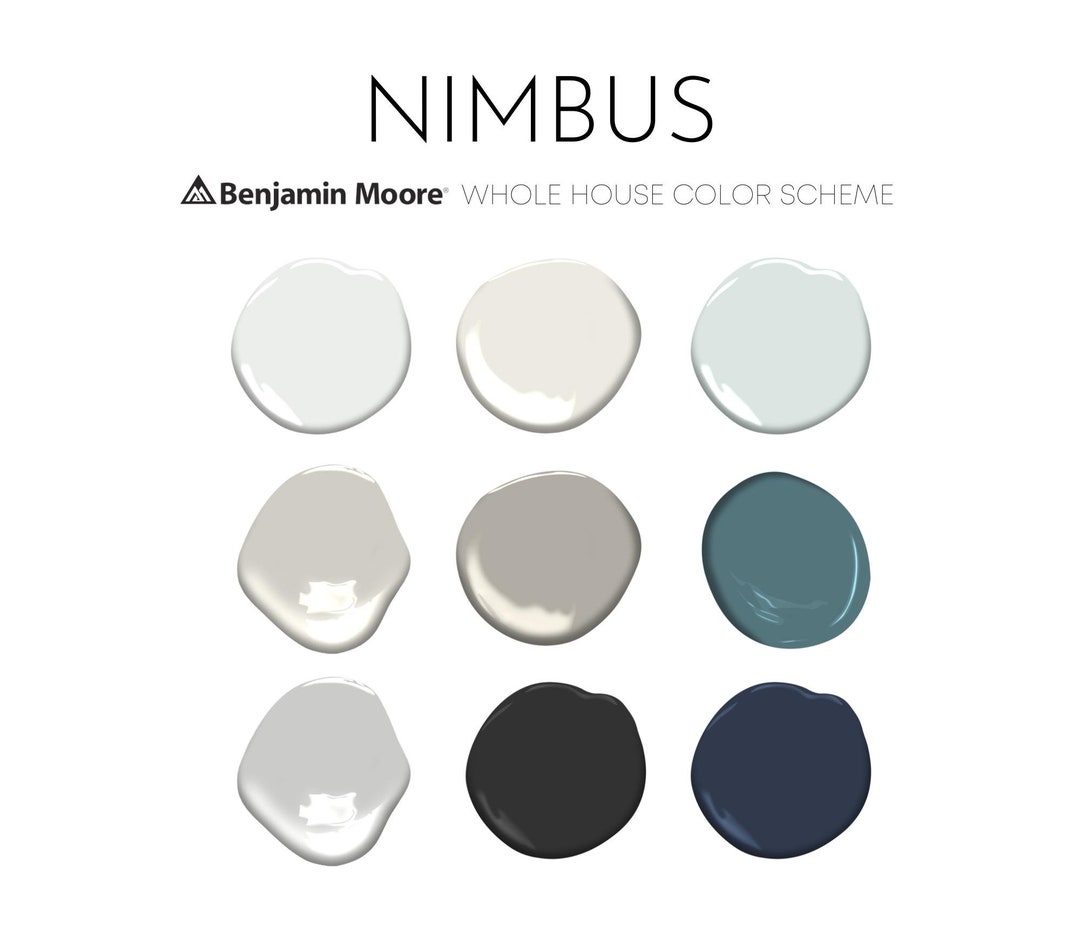 Nimbus Benjamin Moore Paint Palette Modern Neutrals Whole Etsy