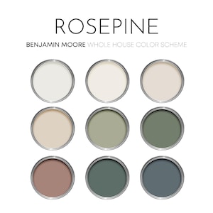 Rosepine Benjamin Moore Paint Palette, Timeless Neutral Interior Colors, Whole House Color Scheme, Earthy Green, Saybrook Sage
