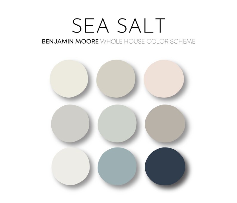 Sea Salt Benjamin Moore Paint Palette Modern Coastal Etsy
