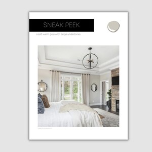 Agreeable Gray Sherwin Williams Paint Palette Modern Neutral - Etsy