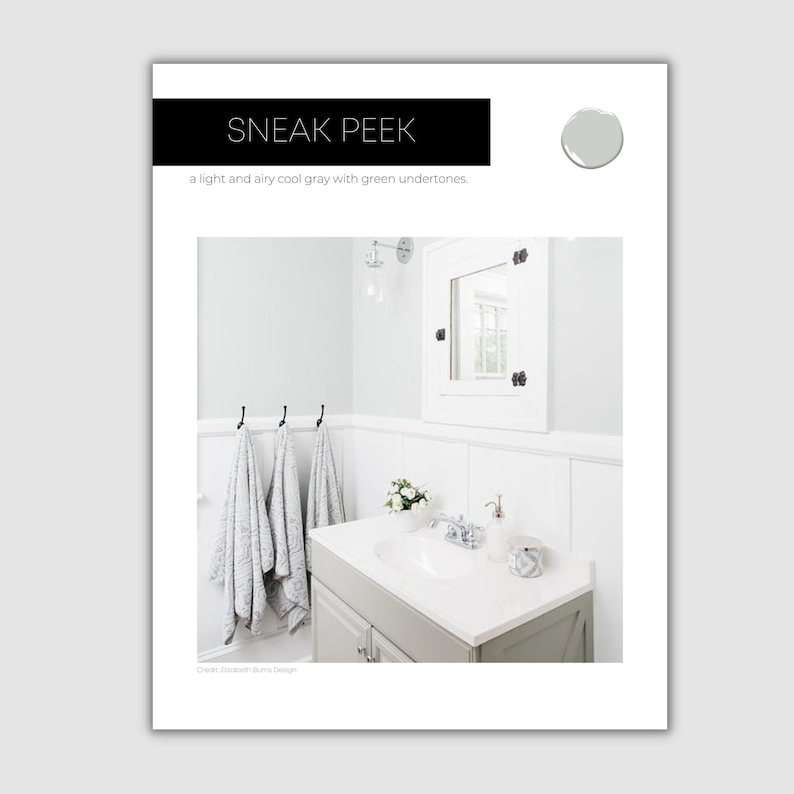 Wrought Iron Benjamin Moore Paint Palette Lake House Color Etsy