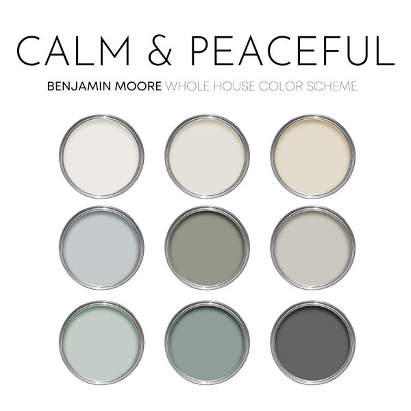 Calm and Peaceful Benjamin Moore Paint Palette, Modern Neutral Calm Coastal Interior Paint Colors for Home, Color Scheme, Edgecomb Gray