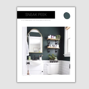 Pale Oak Benjamin Moore Paint Palette Neutral Interior Colors - Etsy