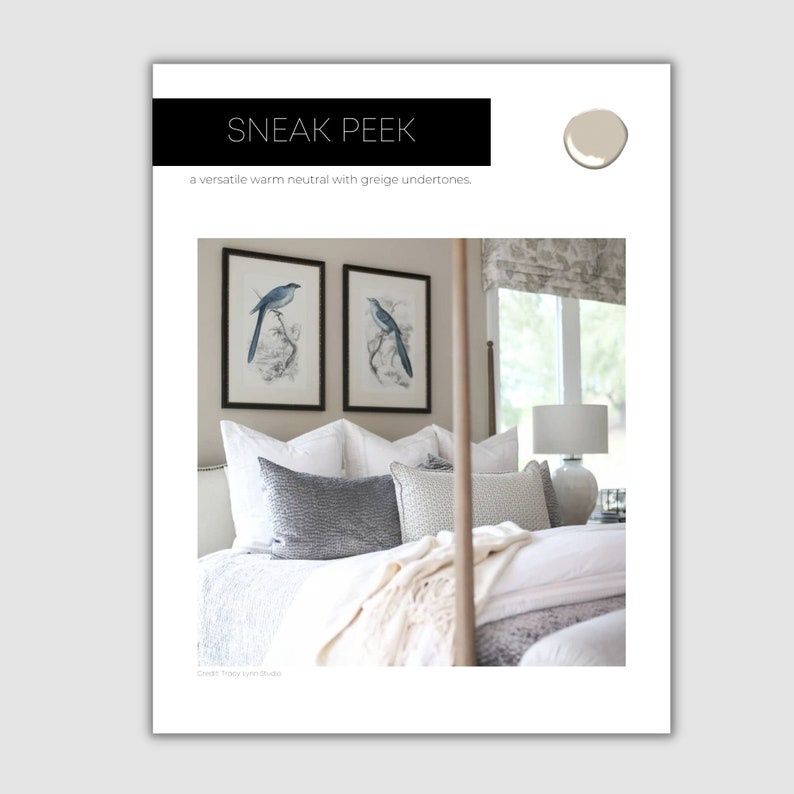 Moody Earth Tones Sherwin Williams Paint Palette Interior Etsy