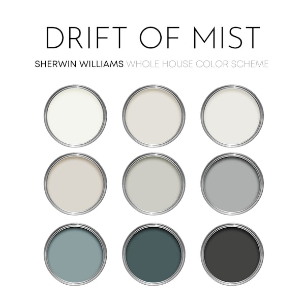 Palette de peinture Drift of Mist Sherwin Williams, Couleurs intérieures neutres pour la maison, Jeu de couleurs moderne, Peinture côtière, Minerai de fer