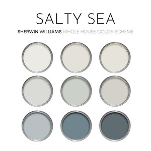 Salty Sea Sherwin Williams Paint Palette - Modern Coastal Interior Paint Colors, Beach House Paint Palette, Airy Neutrals, Pure White