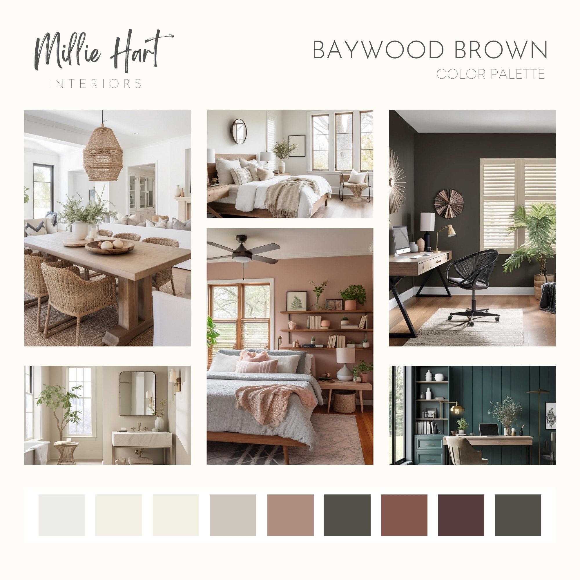 Baywood Brown Benjamin Moore Paint Palette, Modern Neutrals, Earthy