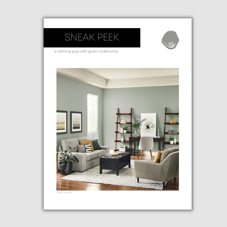 Anew Gray Sherwin Williams Paint Palette Neutral Interior Etsy