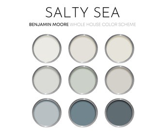 Op de afbeelding: Negen verfstalen in een rasterpatroon. De kleuren zijn tinten wit, grijs en blauw. De tekst "SALTY SEA" staat bovenaan de afbeelding. De tekst "BENJAMIN MOORE WHOLE HOUSE COLOR SCHEME" staat onder de titel.