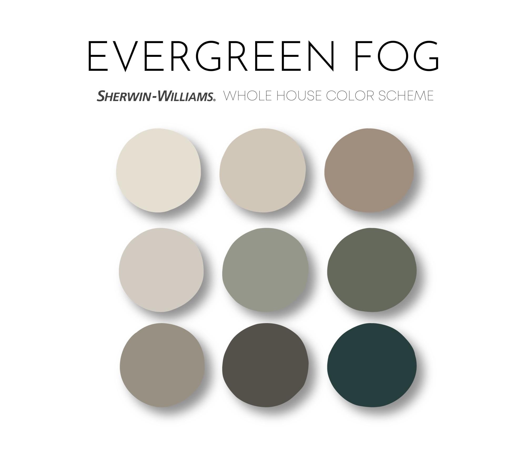 Evergreen Fog Sherwin Williams Paint Palette Color of the Etsy