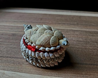 Vintage Turtle Seashell Small Oval Shaped Jewelry Trinket Box