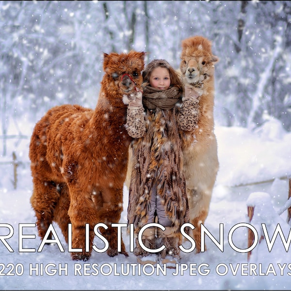 Snow Overlay Pack - Realistic snow overlays, realistic falling snow, Christmas overlays, winter overlays, photo editing, Jpeg - Download