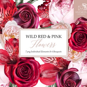 Clipart fleurs rouges - aquarelle fleurs bordeaux - clipart fleurs et baies - clipart fleurs aquarelle - usage Commercial