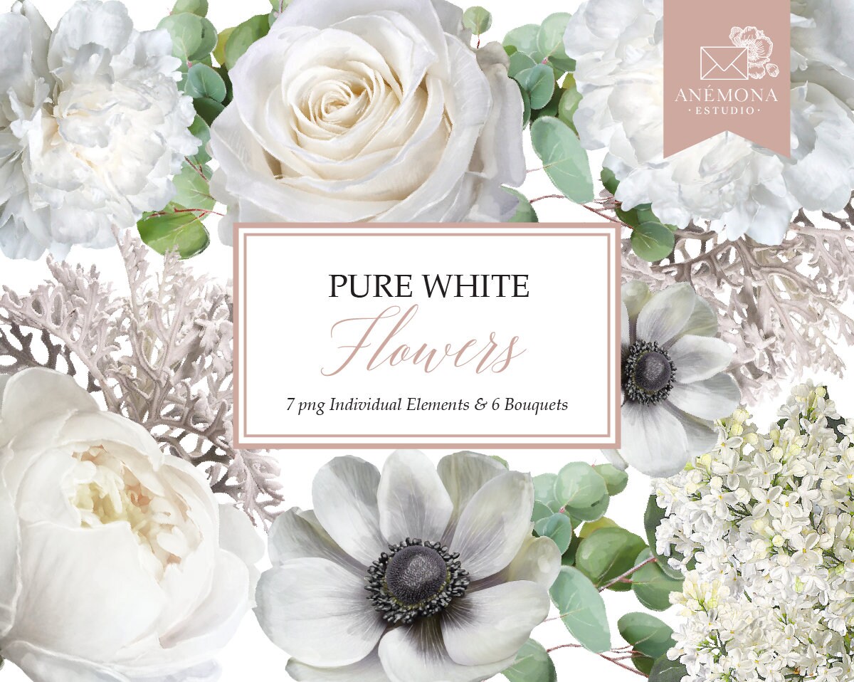 White Flowers Clipart White Watercolor Flowers Anemone | Etsy