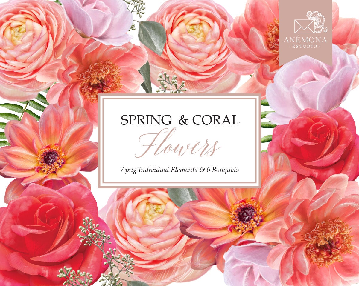 Coral Watercolor Flowers Clipart: Peonies, Bouquets (Commercial Use)