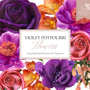 Clipart de flores roxas - Flores em aquarela violeta e magenta - Clipart de rosas - Clipart de flores em aquarela - Uso comercial
