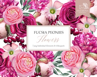 Fuchsia Watercolor Flower Clipart: Ranunculus & Peonies (PNG Digital Download)
