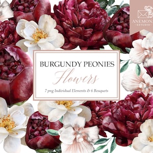 Burgunder Blumen Clipart - Burgunder Aquarell Blumen - Pfingstrosen Clipart - Aquarell Blumen Clipart - Kommerzielle Nutzung