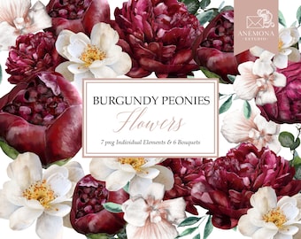 Burgundy Watercolor Flowers Clipart: Peonies & Bouquets (PNG Digital Download)