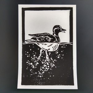 Mallard Linocut Print / Swimming Duck Art Print