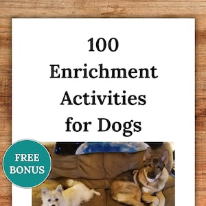 Peut inclure: Une affiche blanche avec le texte "100 Activités d'enrichissement pour chiens" en noir. Un cercle turquoise avec les mots "BONUS GRATUIT" est dans le coin inférieur gauche. Deux chiens sont visibles sur un canapé marron.