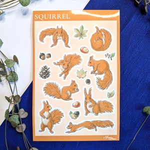 Feuille d'autocollants Écureuil / Écureuil / Forêt / Automne
