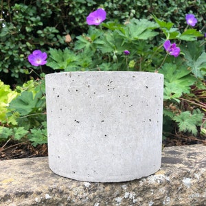 May include: A plain grey concrete planter with a rough, textured surface. The planter is round and has a slightly curved lip.