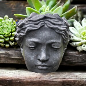 May include: A grey concrete planter shaped like a woman's face with closed eyes. The planter is filled with green succulents.