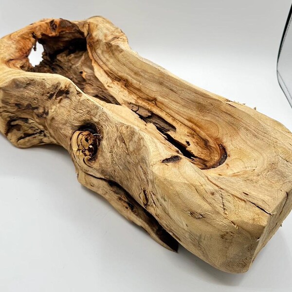 Natural Wood Planter, Primitive Style, Real Tree Root Planter M007