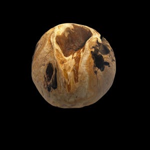 May include: A spherical wooden bowl with a natural, organic design. The bowl is made of light brown wood with darker brown and black accents, and has a large, irregular opening at the top. The wood grain is visible throughout.