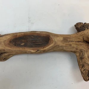 May include: A large, natural, brown driftwood branch with a knotty, gnarled texture. The branch has a deep, oval-shaped indentation in the center.