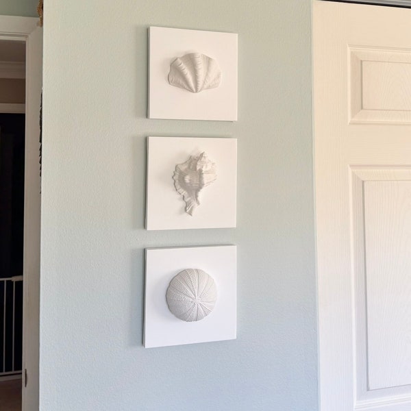 White Shell Canvas Art, Sea Shell Wall Decor, 3D Shell Art, Modern Coastal Canvas Wall Art, Beach House Decor, Bathroom Art, Coastal Home
