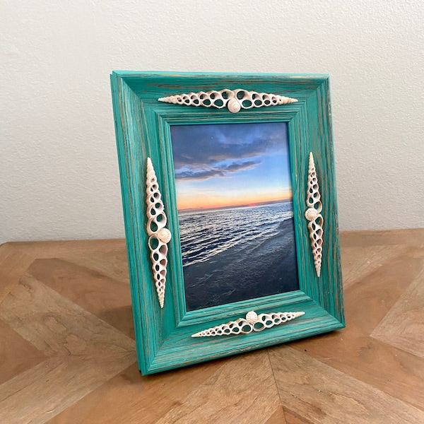 Shell Frame Etsy