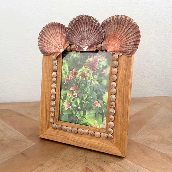 5x7 Shell Picture Frame, Sea Shell Frame, Scallop Shell Picture Frame, Frame With Shells, Coastal Picture Frame, Coastal Decor