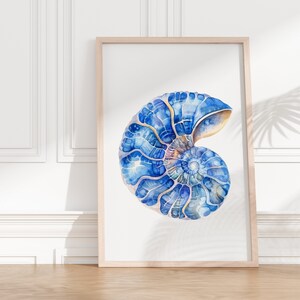 Könnte beinhalten: Ein gerahmtes Aquarellbild einer blauen und goldenen Ammoniten-Schale. Die Schale ist spiralförmig und hat ein detailliertes, kompliziertes Muster.