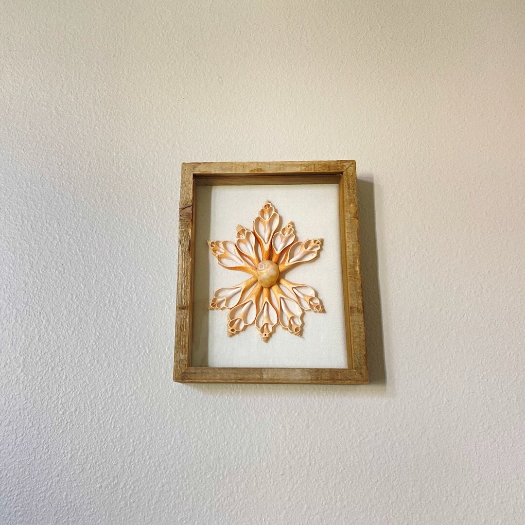 Shell Shadow Box, Coastal Shadow Box, Coastal Decor, Beach House Decor ...