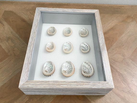 Abalone Seashell Boxes