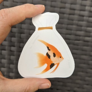 Angelfish Vinyl Die Cut Sticker, Clear Sticker, Waterproof Die Cut Sticker, Fish in a Bag Sticker, Water Bottle Sticker, Fish Lover Sticker