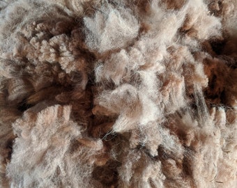 2023 Raw (unwashed) Alpaca Fiber - 1st cut only
