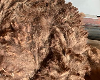 2023 Alpaca Fleece ~ Medium Brown ~ Main blanket ~ No 2nds or 3rds