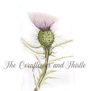 Impresión digital de acuarela de cardo botánico