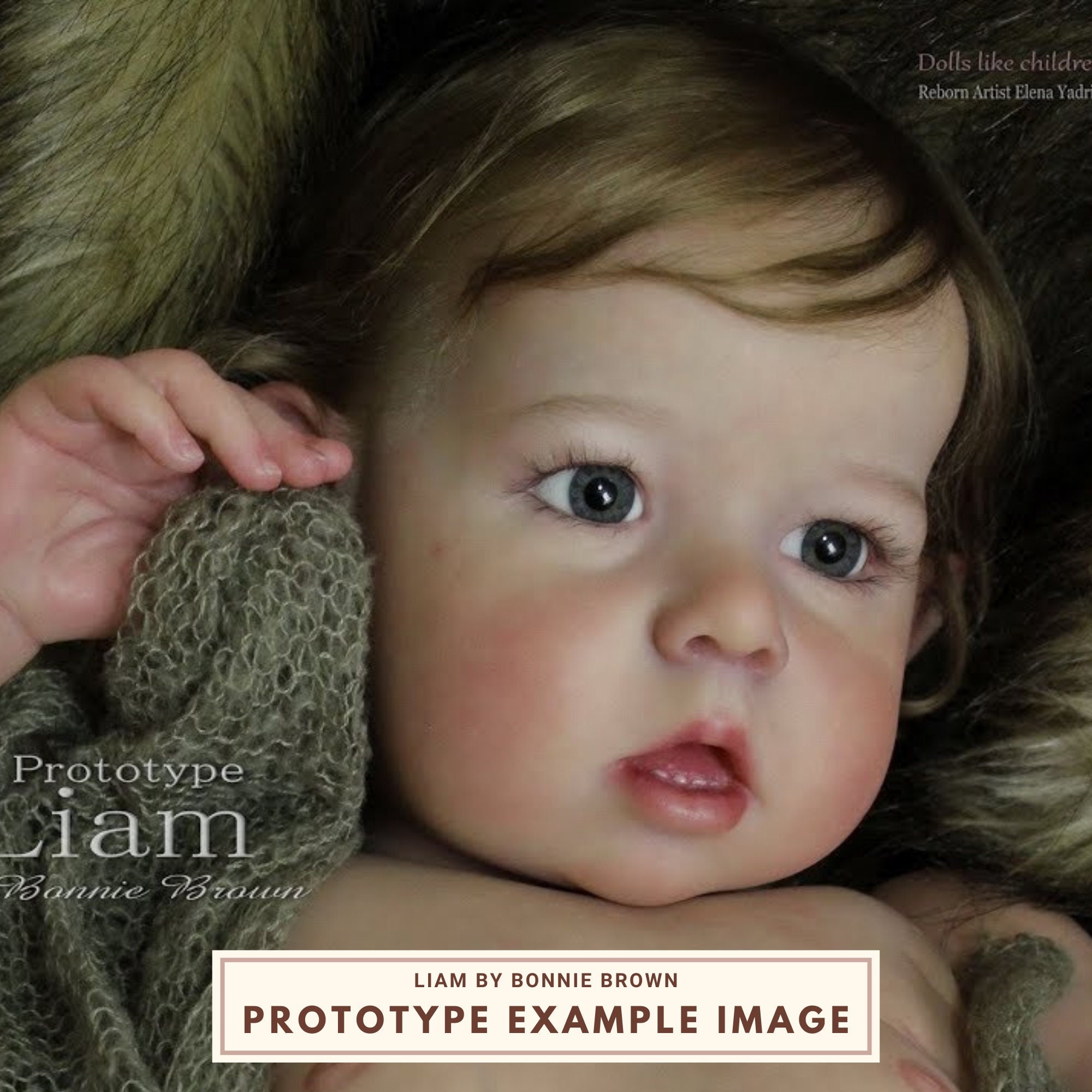 リボーンドールリアムLiam by Bonnie Brown