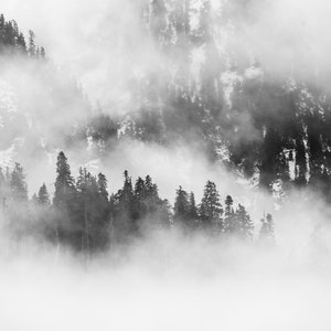 Canvas Print of Misty snowy Forest