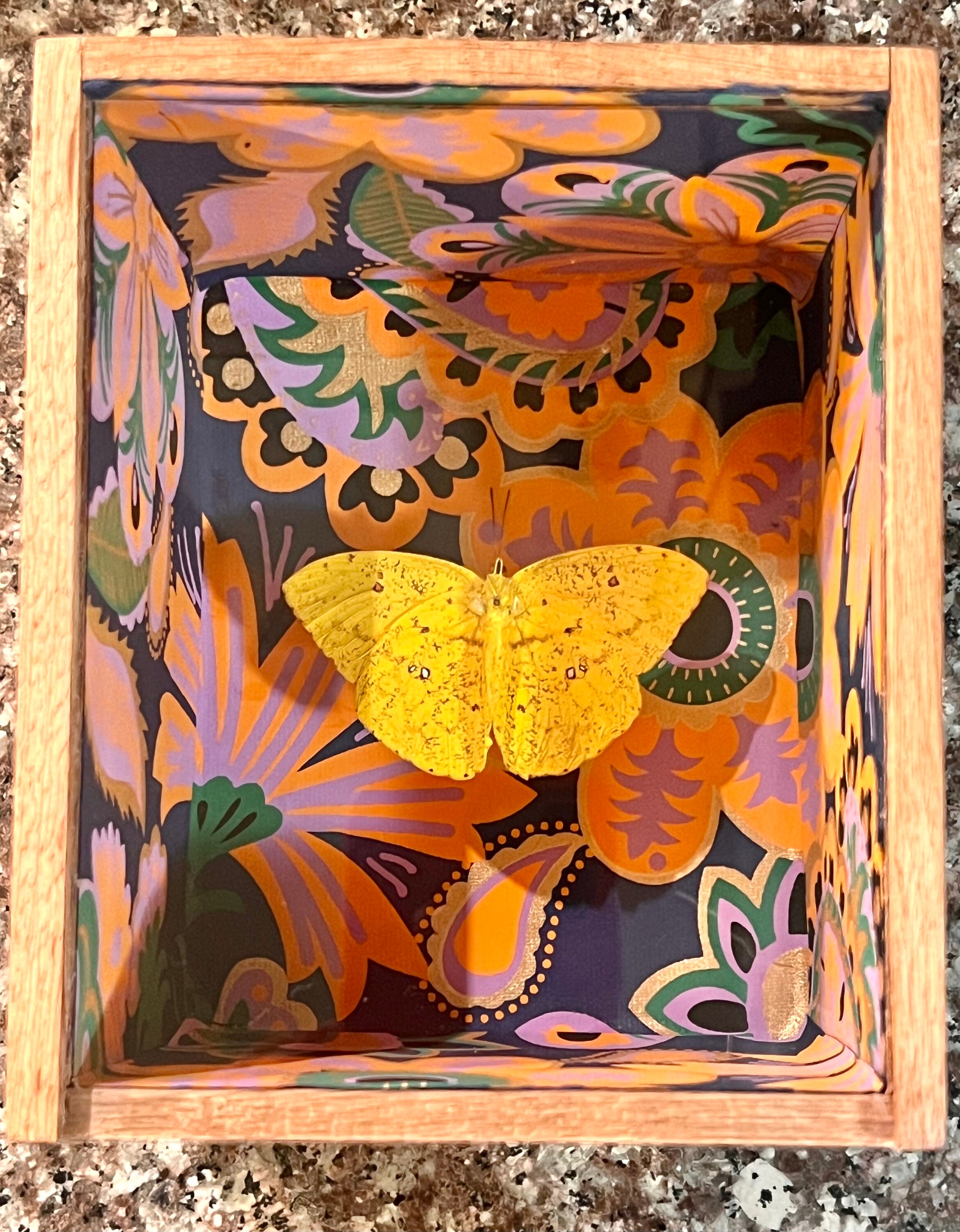 蝶の絵  F6号  30x40cm アトリエ富士吉田から金の赤富士○がんどうあつし絵画油絵F6号