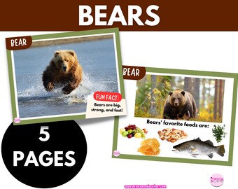 Cartes d'apprentissage des ours