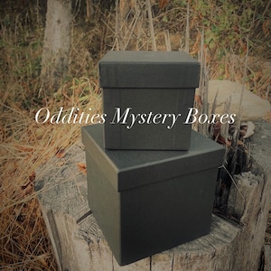 Oddities Mystery Box