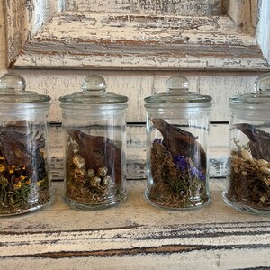 Small chicken head jars with moss and flowers