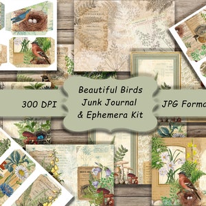 Beautiful Birds, Digital Junk Journal y Ephemera Kit, Collage Sheet, Printable Paper, Journal Pages, Bird Kit