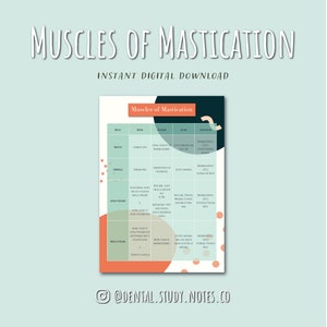Muscles Of Mastication Digital Download Anatomy/Dentistry/Dental Hygiene/Dental Therapist/Medical Student Revision Study Notes